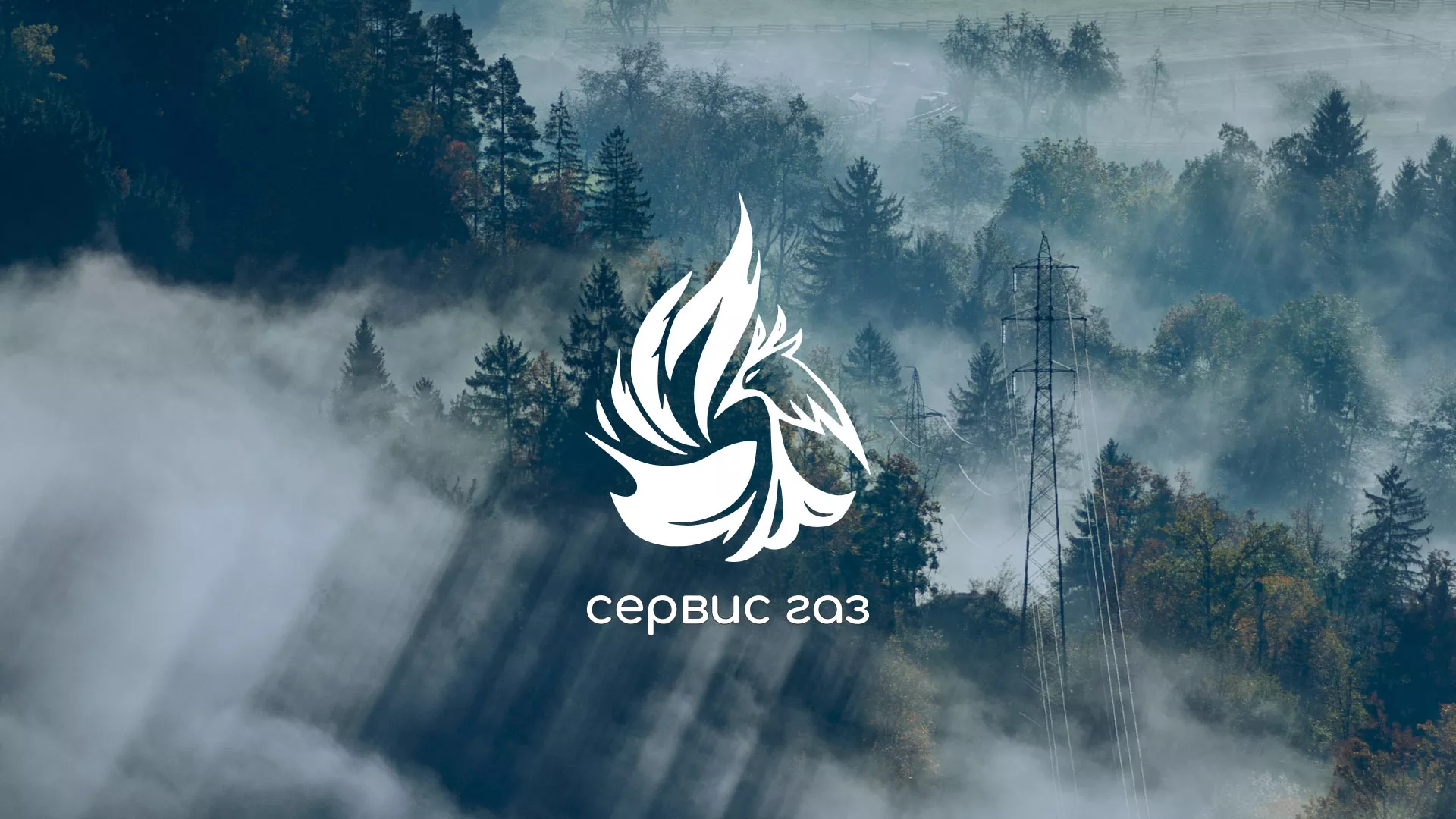 Создание сайта компании «Сервис газ» в Покрове