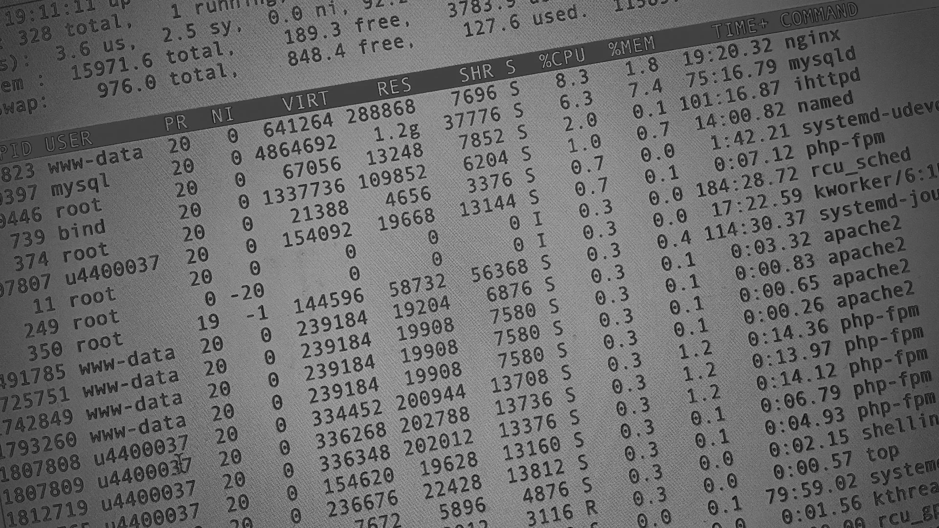 Настройка сервера в Покрове