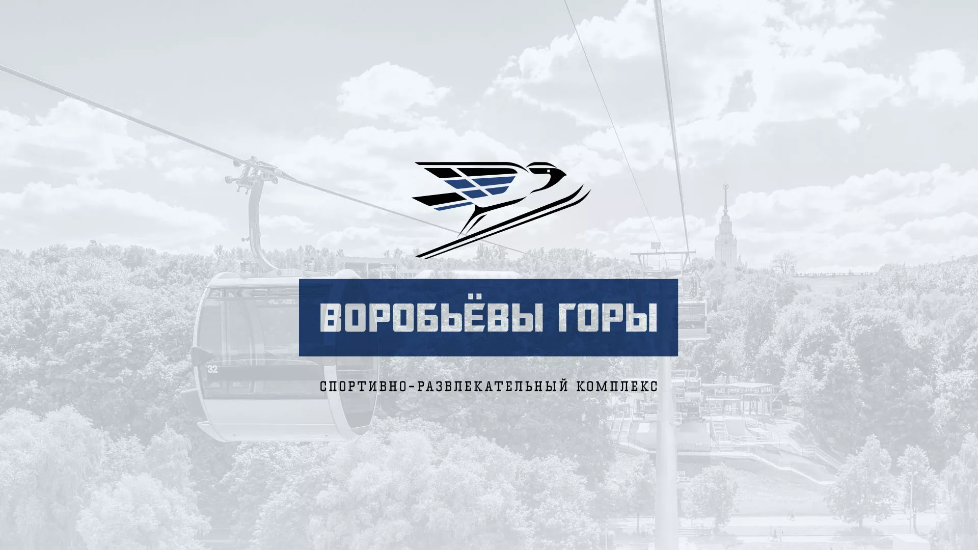 Разработка сайта в Покрове для спортивно-развлекательного комплекса «Воробьёвы горы»