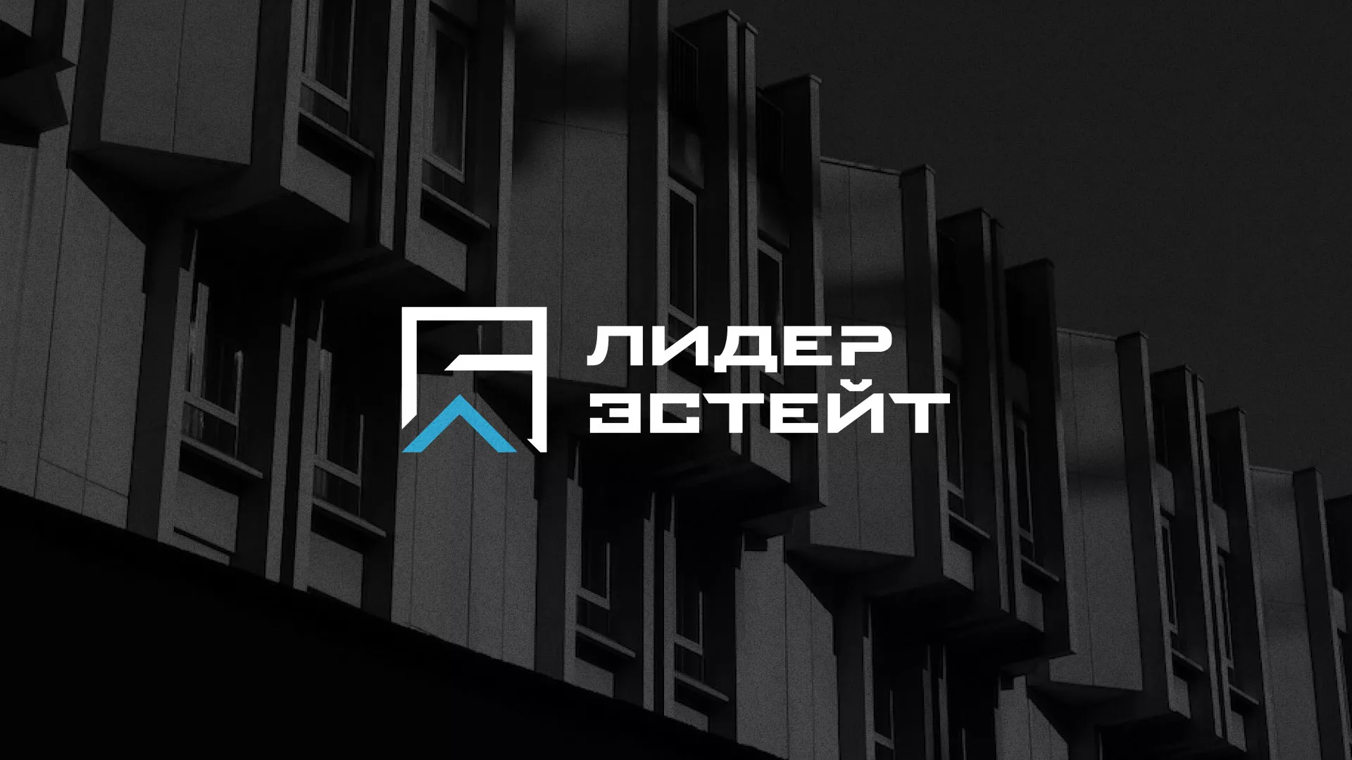 Разработка логотипа агентства недвижимости «Лидер Эстейт» в Покрове